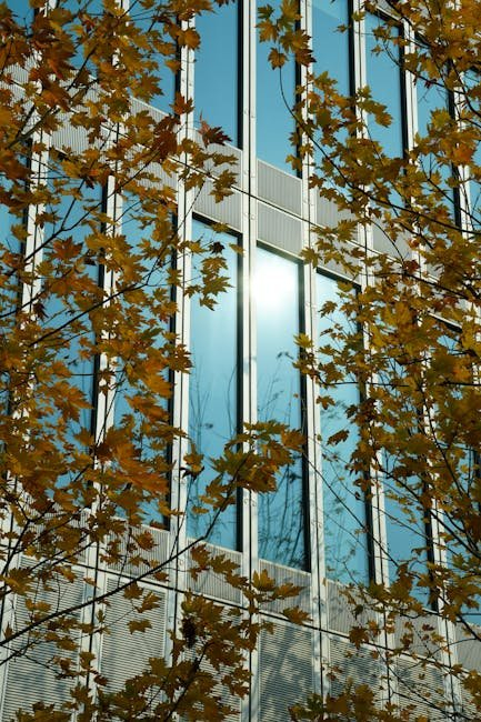 WordPress佈景主題