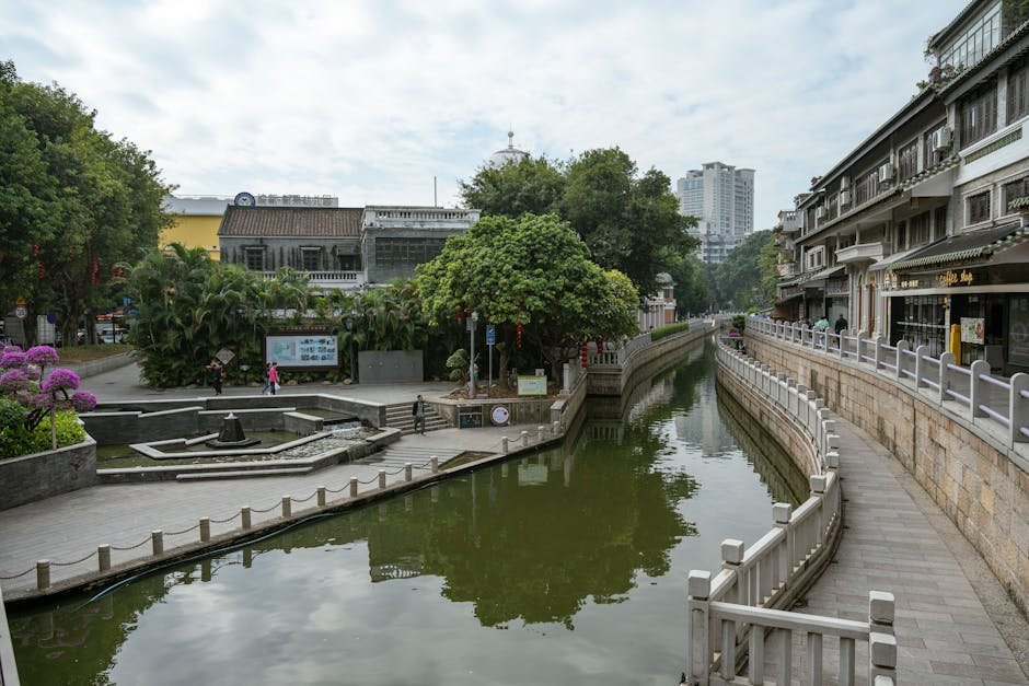 WordPress佈景主題